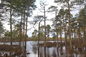 Отель Suurejõe Holiday Center  Suurejõe